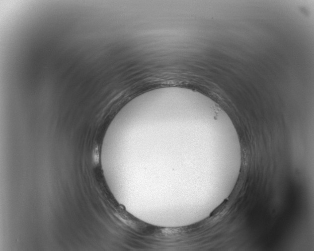 X0000059060095200510212038