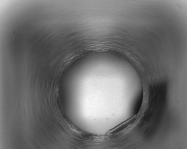 X0000059060096200510212038