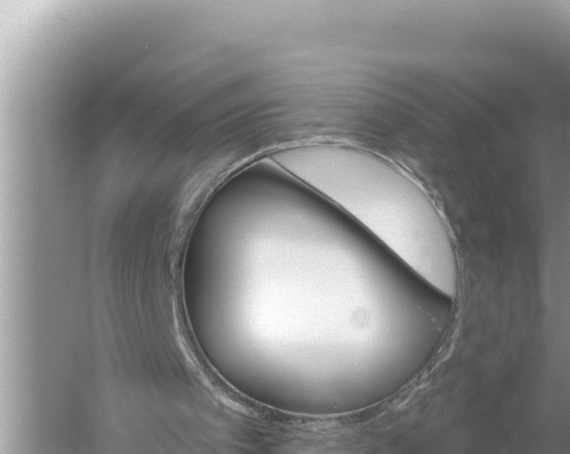 X0000059060097200510212037