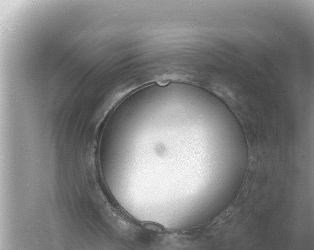 X0000059060098200510212037