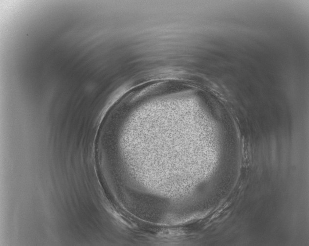 X0000059060099200510212037