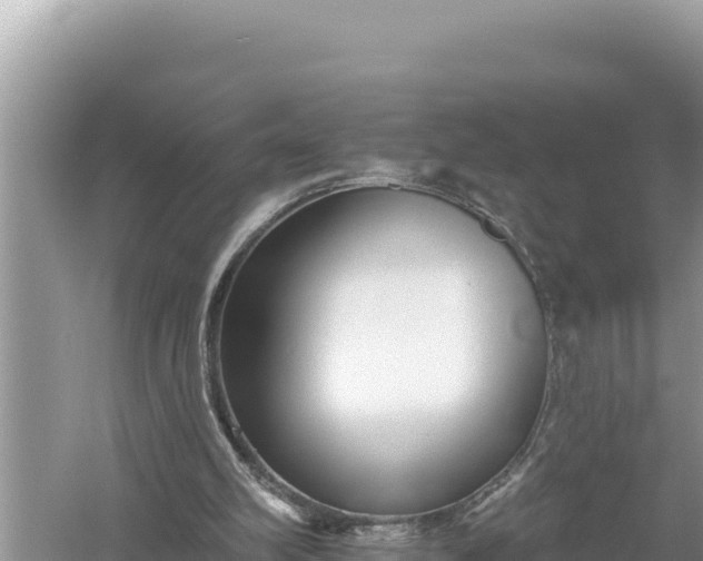 X0000059060102200510212037