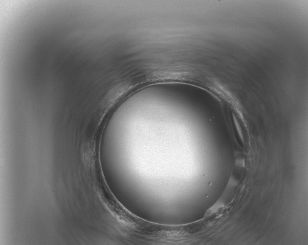 X0000059060107200510212037