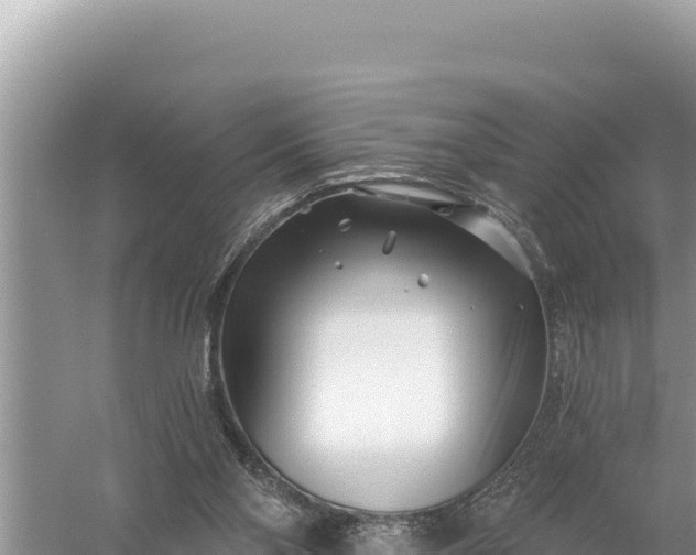 X0000059060110200510212037