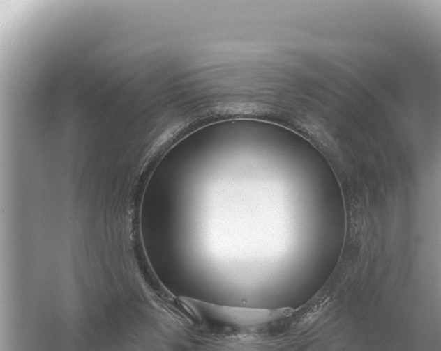 X0000059060111200510212037