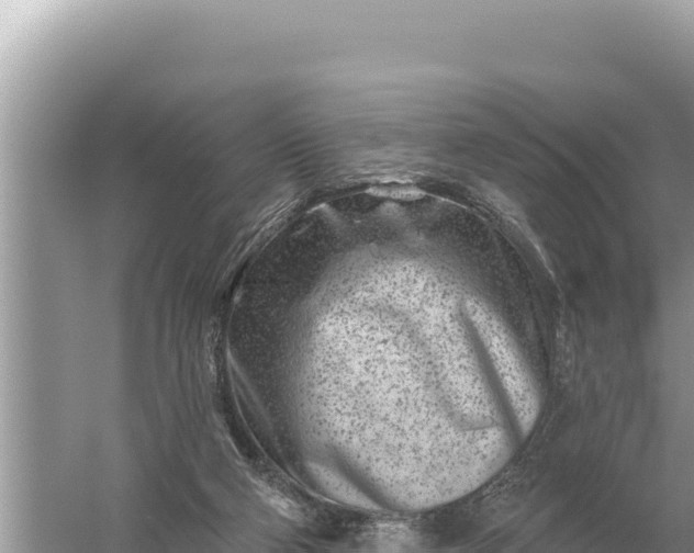 X0000059060114200510212037