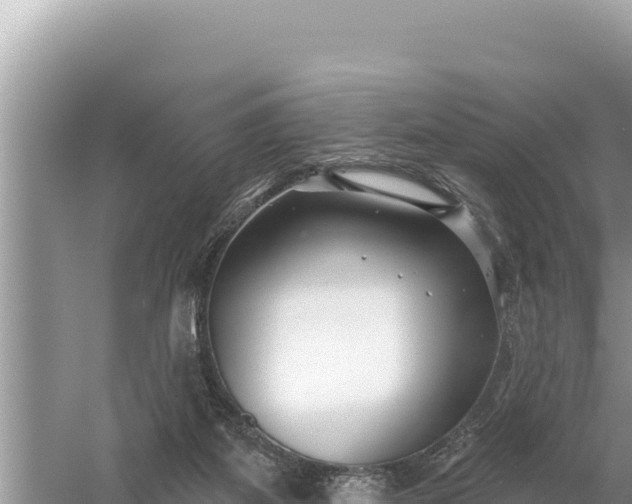 X0000059060115200510212037