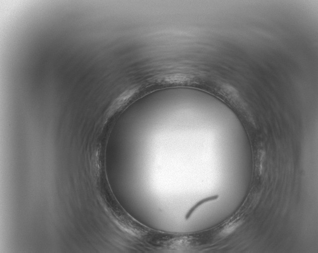 X0000059060116200510212037