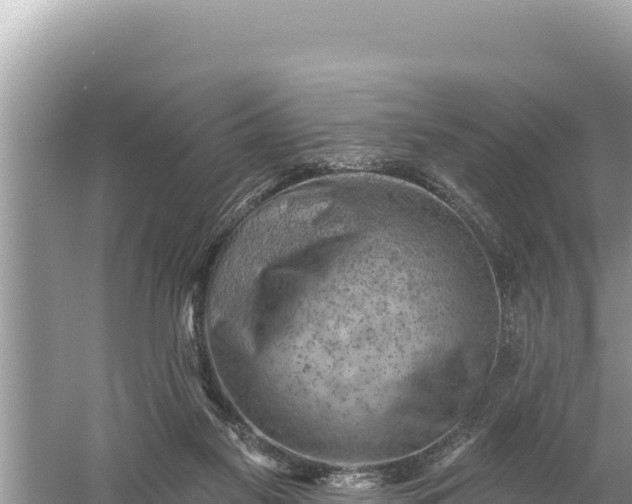 X0000059060117200510212037