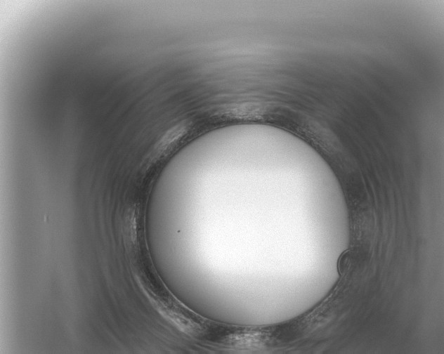 X0000059060120200510212037