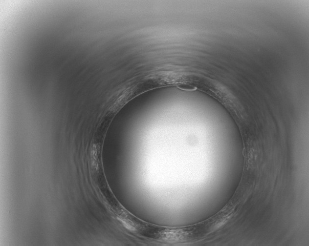 X0000059060121200510212037