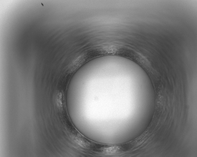 X0000059060122200510212037