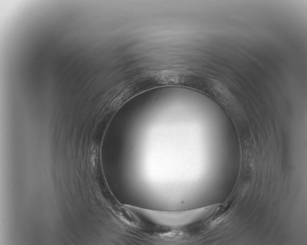 X0000059060125200510212037