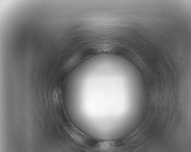 X0000059060126200510212037