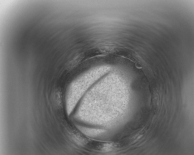 X0000059060130200510212037