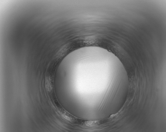 X0000059060136200510212037