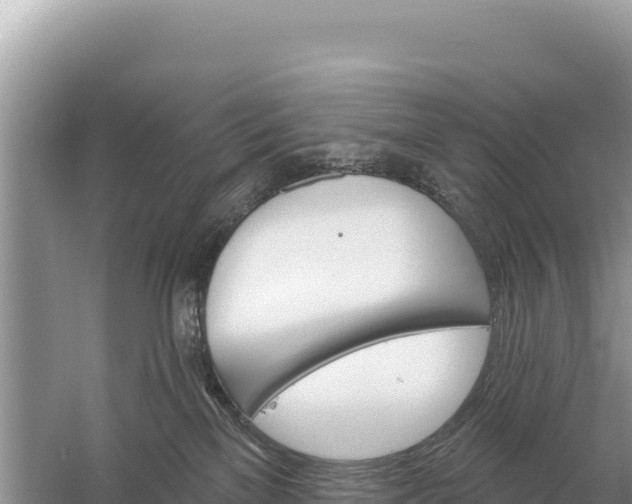 X0000059060137200510212037