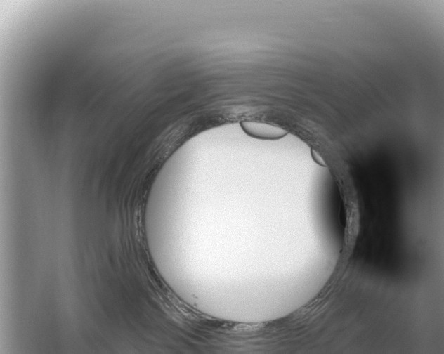 X0000059060138200510212037