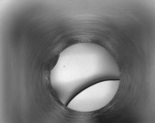 X0000059060141200510212036