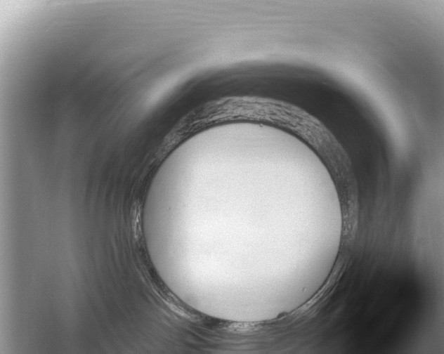 X0000059060142200510212036