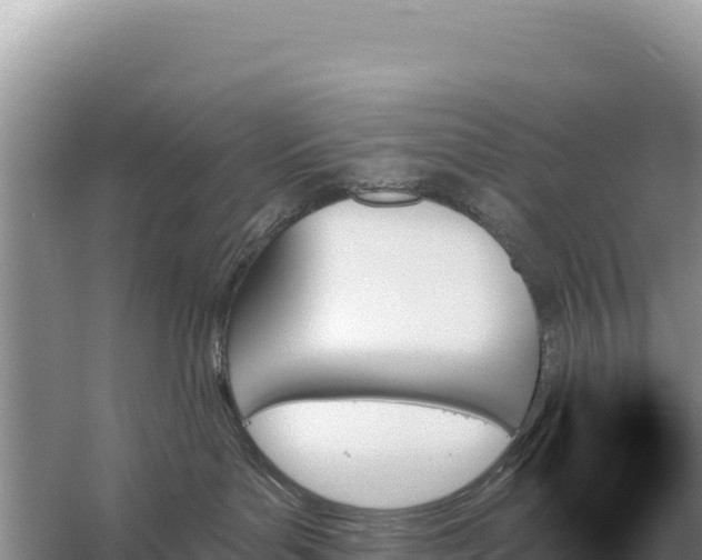 X0000059060143200510212036