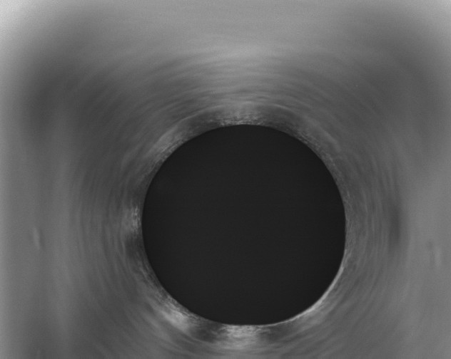 X0000059060144200510212036