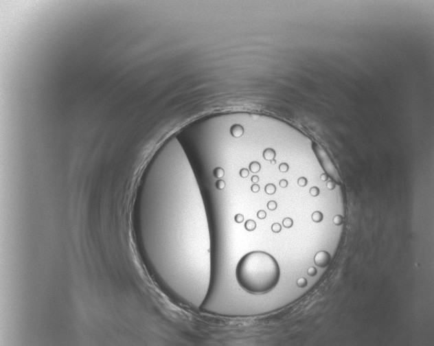 X0000059060145200510212036