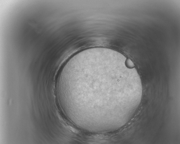 X0000059060146200510212036