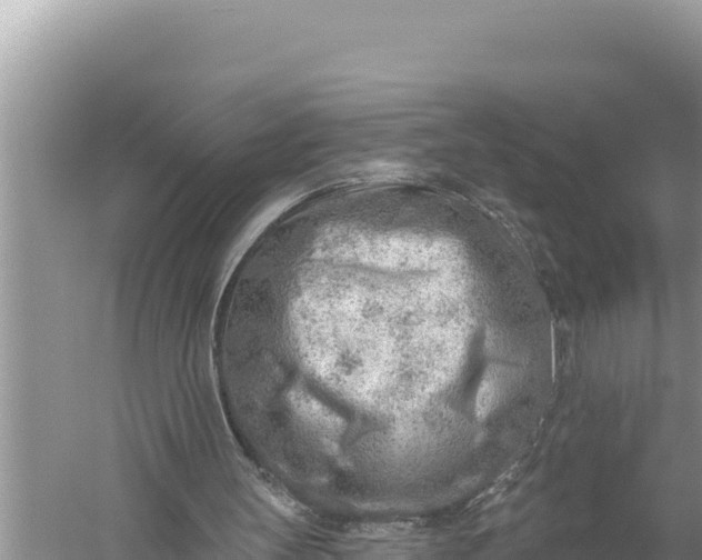 X0000059060147200510212036