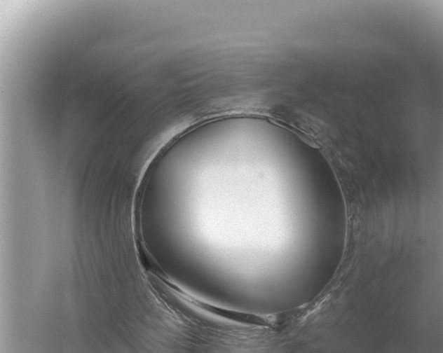 X0000059060148200510212036