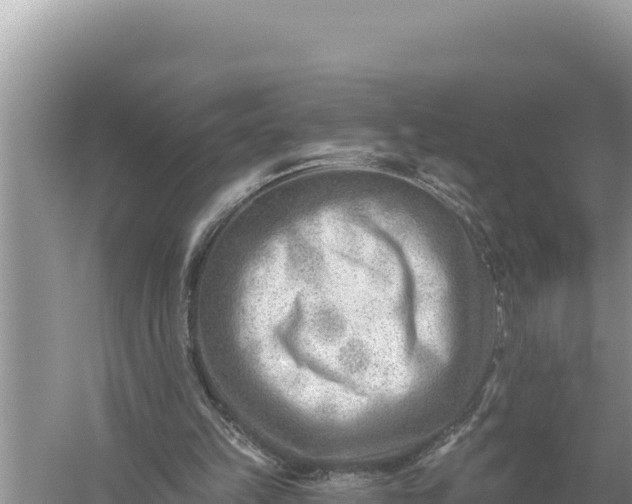 X0000059060149200510212036