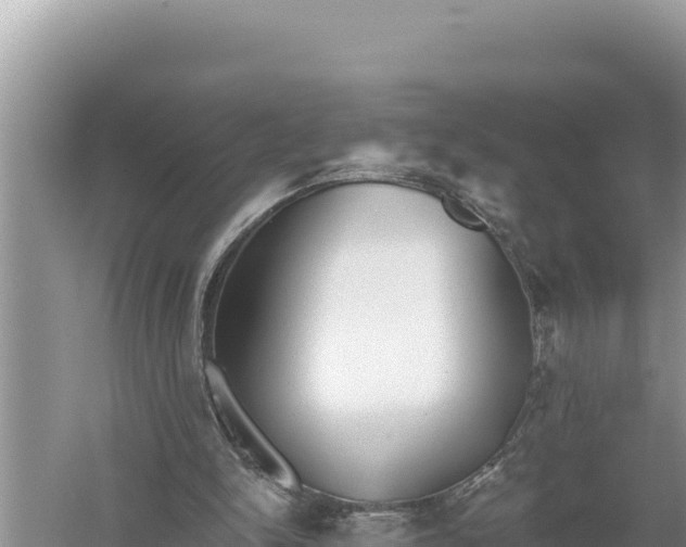 X0000059060150200510212036