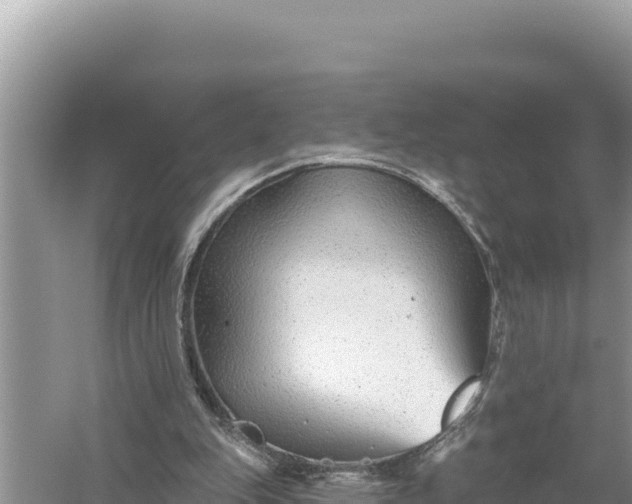 X0000059060151200510212036