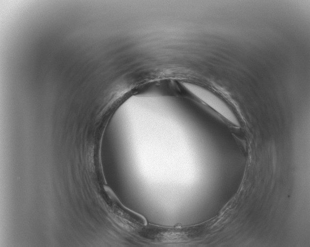 X0000059060154200510212036