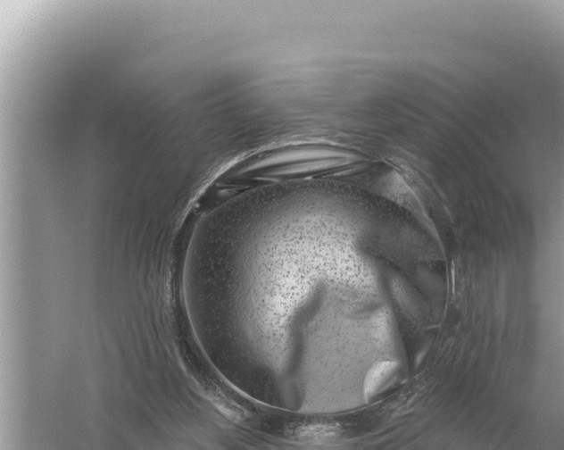 X0000059060156200510212036