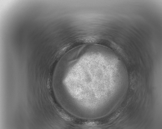 X0000059060161200510212036