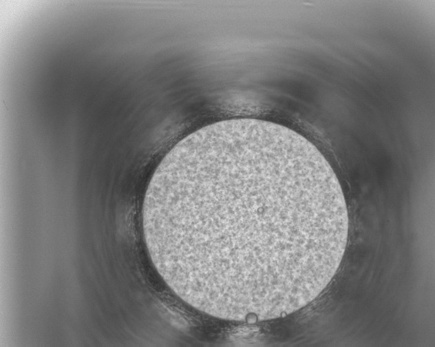 X0000059060162200510212036