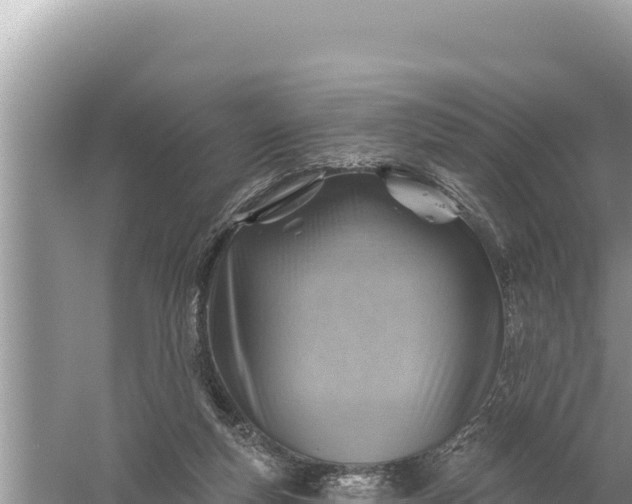 X0000059060163200510212036