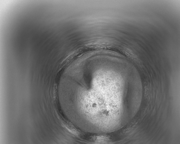 X0000059060165200510212036