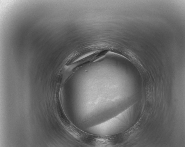 X0000059060167200510212036