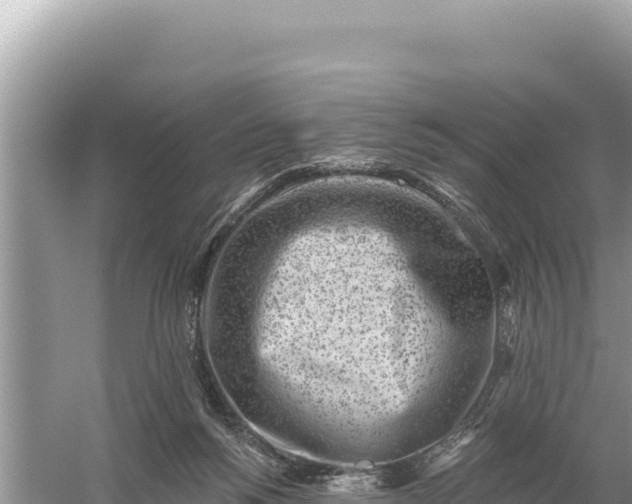 X0000059060168200510212036