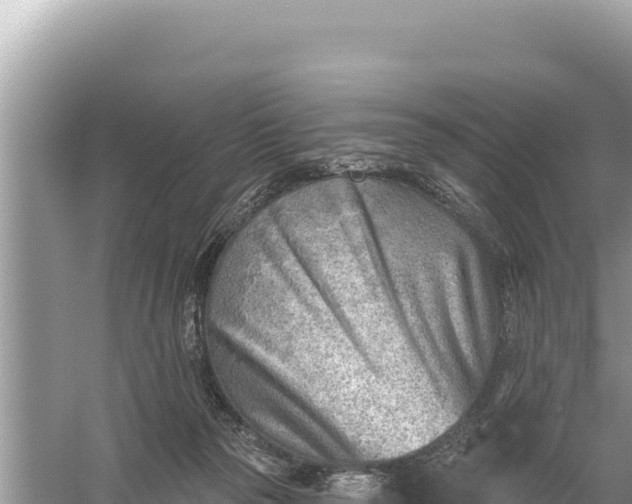 X0000059060169200510212036