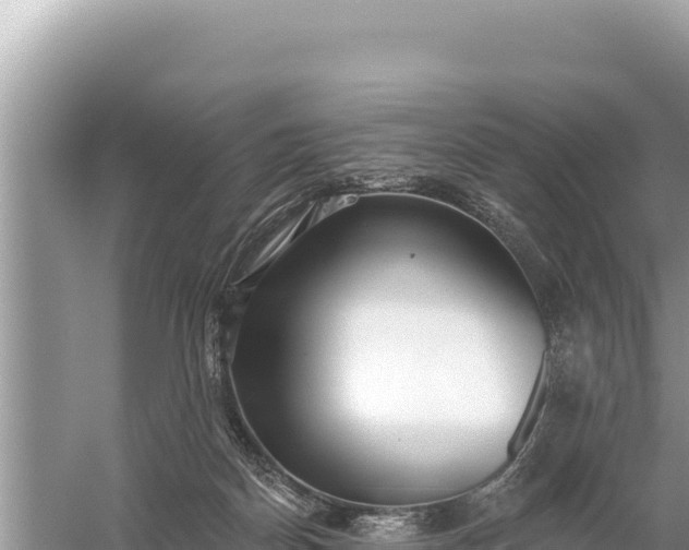 X0000059060170200510212036