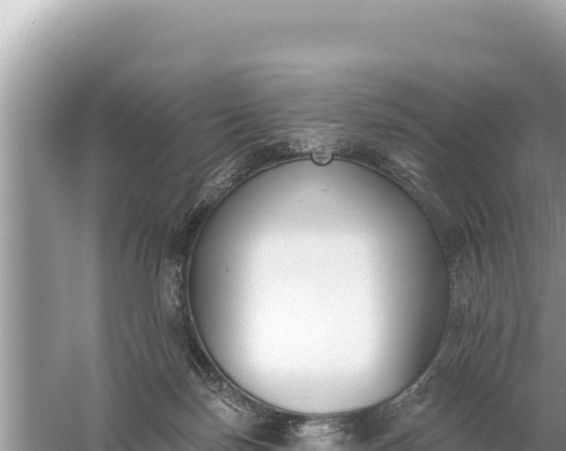 X0000059060171200510212036