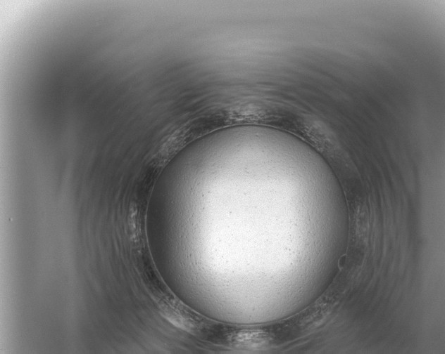 X0000059060173200510212036