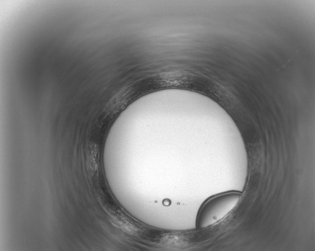 X0000059060174200510212036