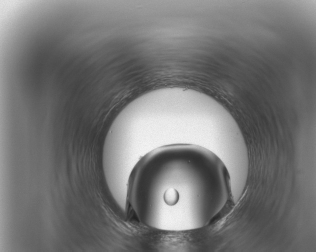 X0000059060175200510212036