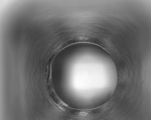 X0000059060176200510212036