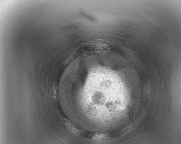 X0000059060177200510212036