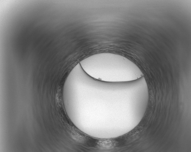 X0000059060181200510212036